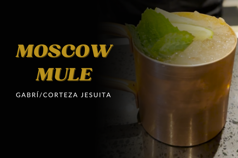PREPARA UN MOSCOW MULE
