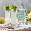 Gin Hayman's Old Tom 700cc.