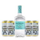 Pack Gin Tonic Hayman's