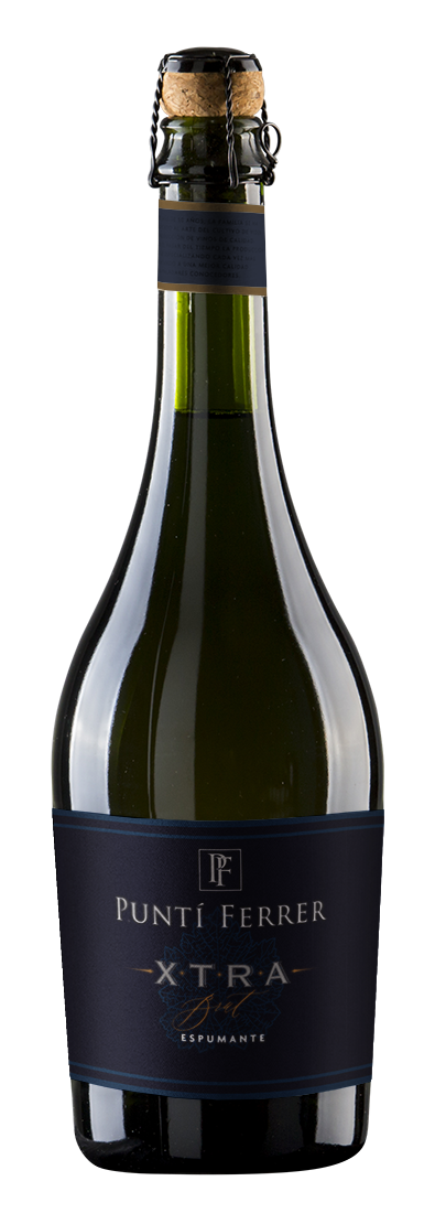 Puntí Ferrer Espumante Xtra Brut 750cc.