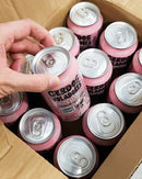 Cerveza Cerdos Voladores IPA  330cc.