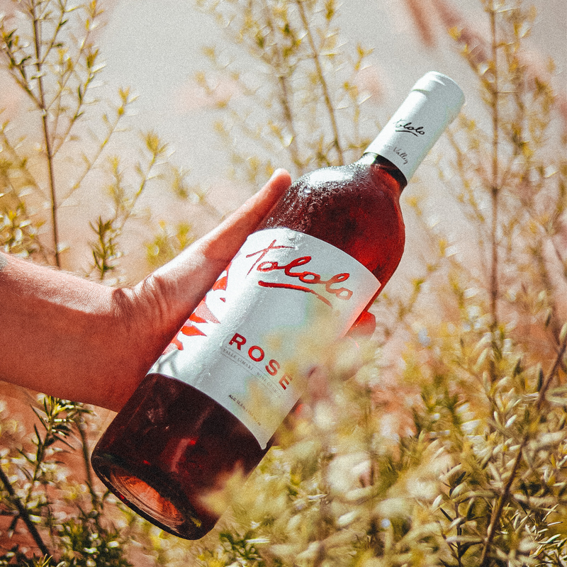 Vino Tololo Rose